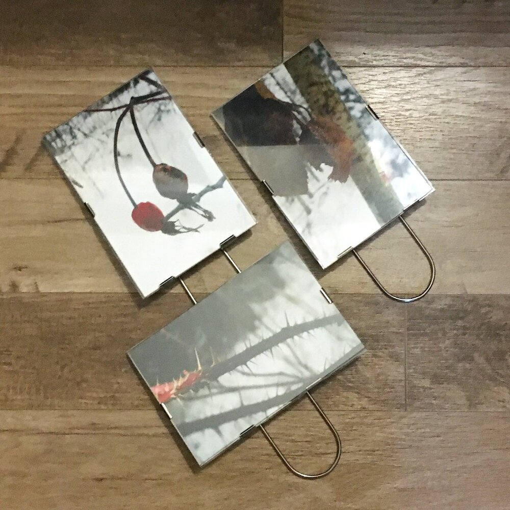 Lot of 3 Glass Metal Photo Frames Canadian Winter Nature Photography Cabin Art